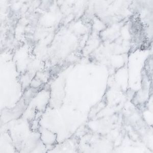 Meet your Posher, Gregory